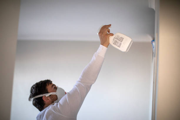Best Emergency Mold Removal  in Beach Park, IL