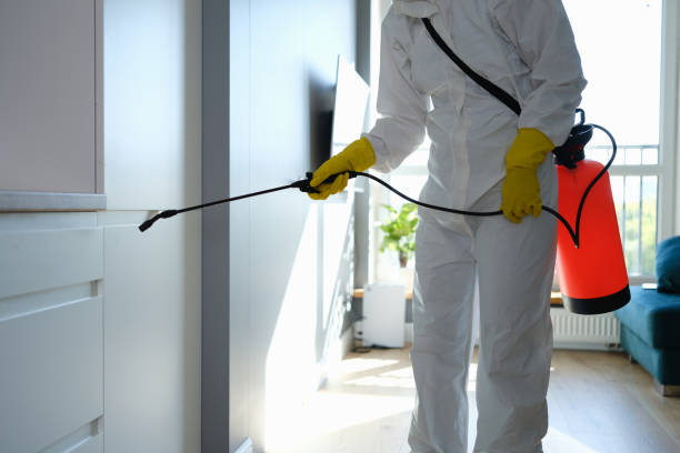Best Commercial Mold Removal  in Beach Park, IL